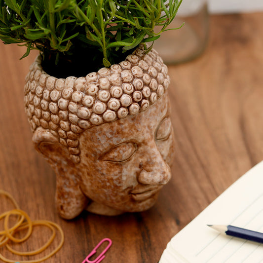Decorative Ceramic Indoor Freestanding Planter - Thai Buddha