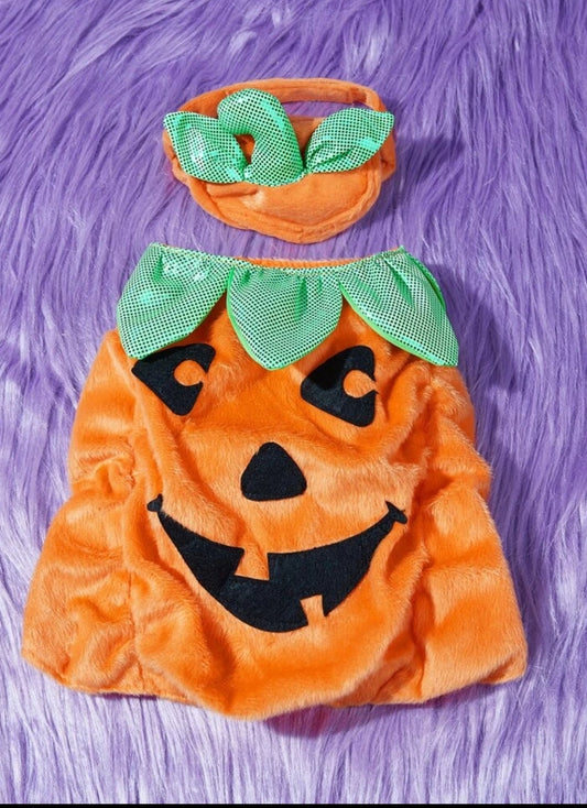 1pc Halloween Pet Outfit with Hat