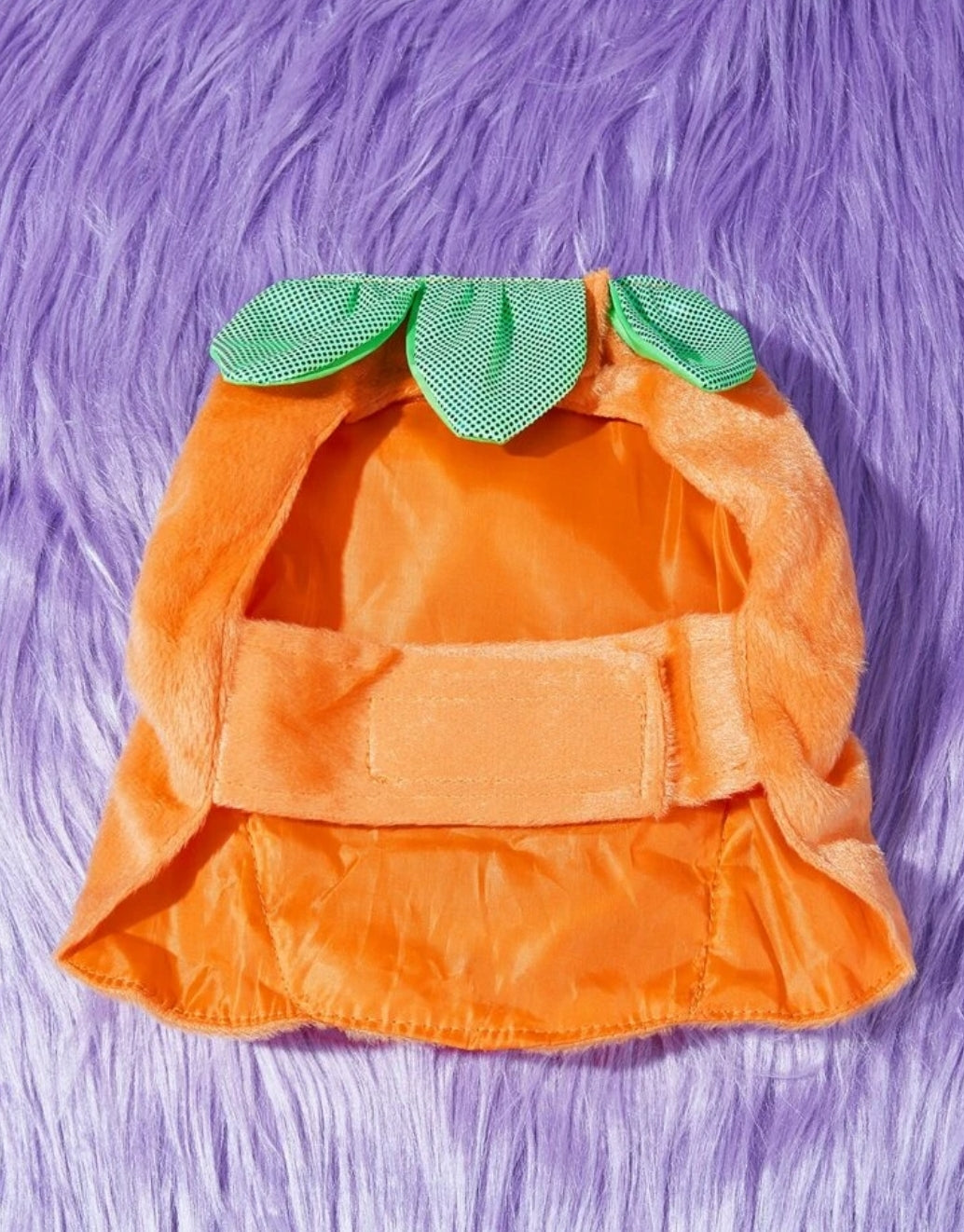 1pc Halloween Pet Outfit with Hat