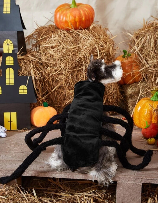 Halloween Spider Pet Costume