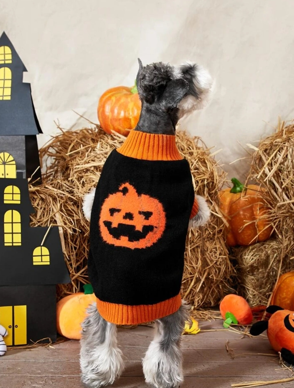 Halloween Pumpkin Pattern Pet Sweater