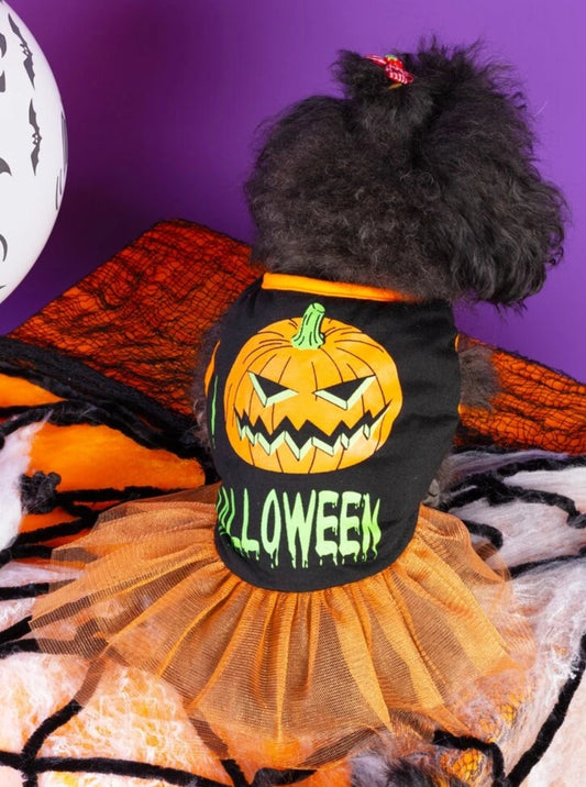 Halloween Pumpkin Print Pet Dress