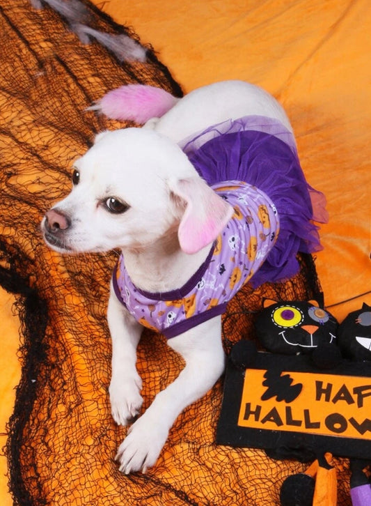 Halloween Pumpkin & Skeleton Print Pet Dress