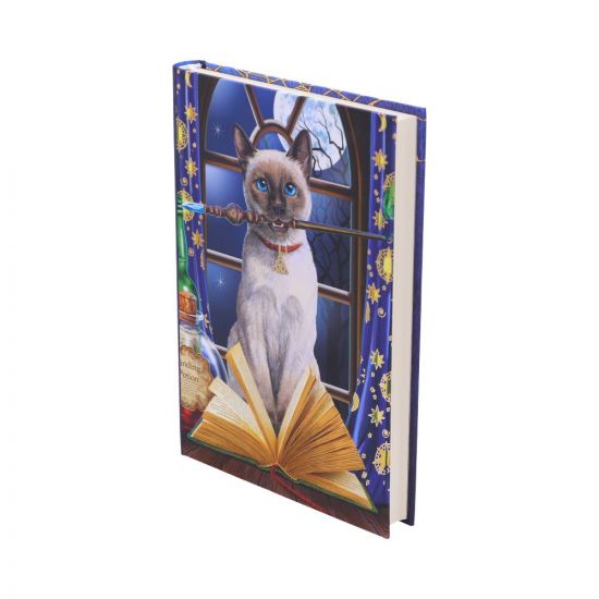 Hocus Pocus Journal