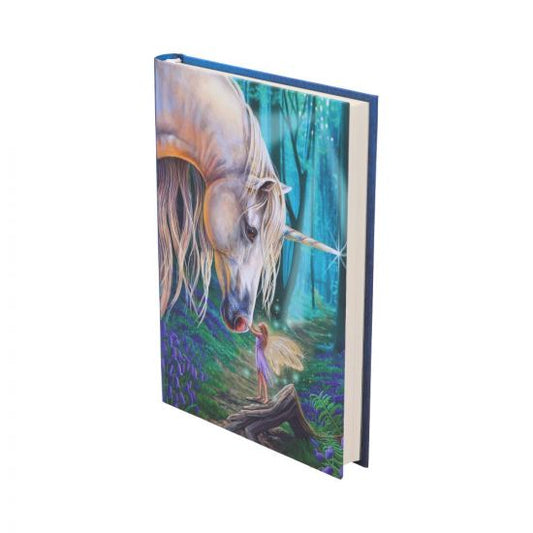 Fairy Whispers Journal