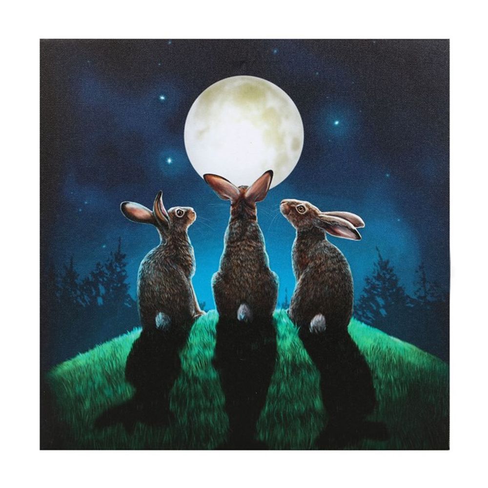 Moon Shadows Light Up Canvas Plaque by Lisa Parker