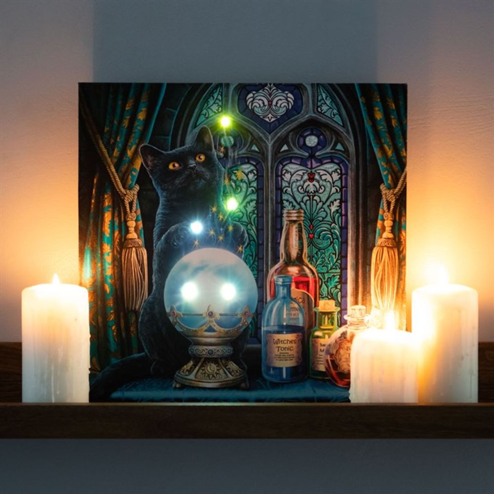 The Witches Apprentice Light Up Canvas Plaque by Lisa Parker