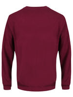 Pop Factory Photo of My Balls Men's Burgundy Christmas Jumper