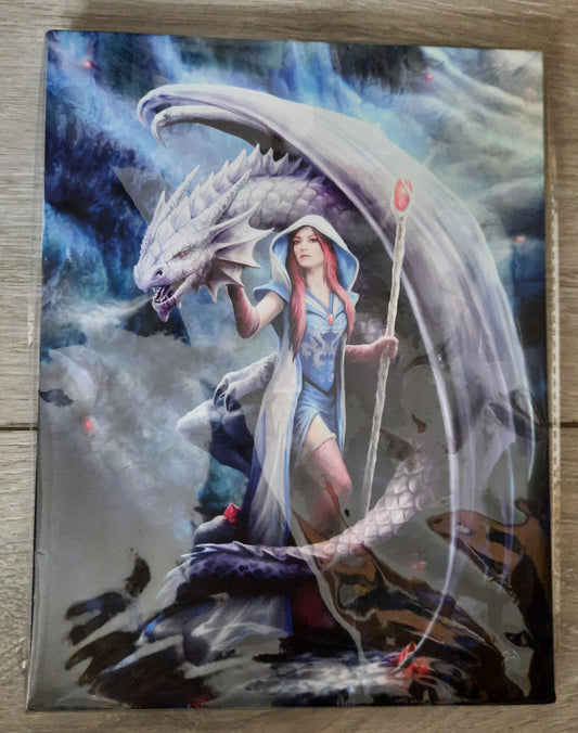 19x25cm Dragon Mage Canvas Plaque by Anne Stokes