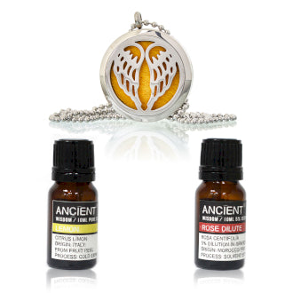 Diffuser Necklace and Essential Oils Set Angel Wing
