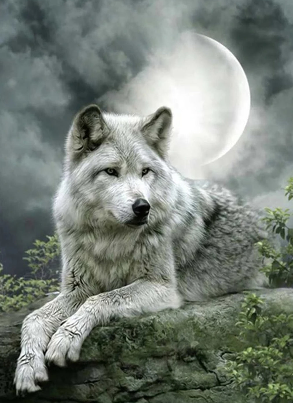 Diamond Art ~ Grey Wolf