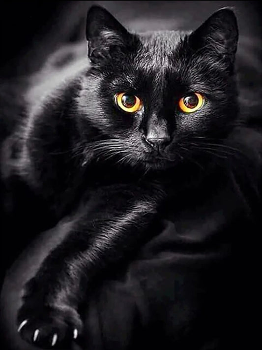 Diamond Art ~ Black Cat