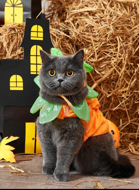 1pc Halloween Pet Outfit with Hat