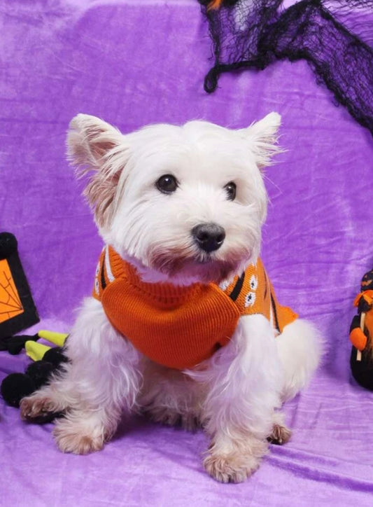 Halloween Ghost Pattern Pet Sweater