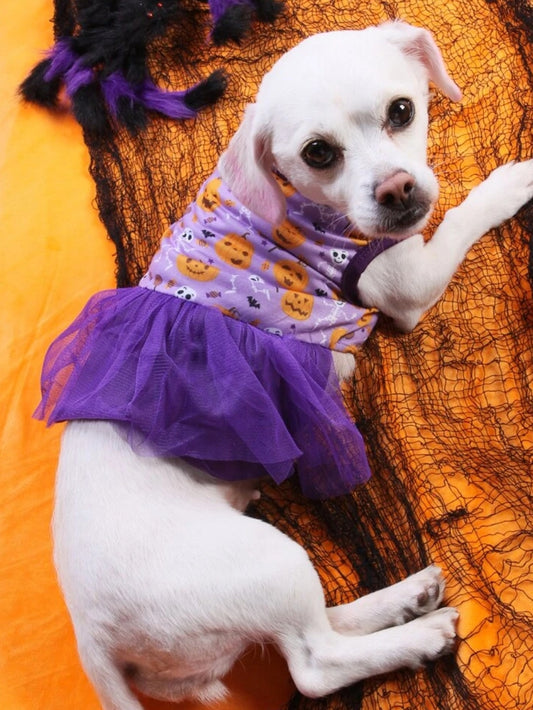 Halloween Pumpkin & Skeleton Print Pet Dress