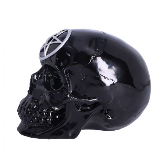 Black Magic Skull 19.5cm