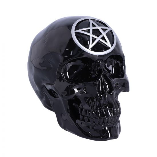 Black Magic Skull 19.5cm