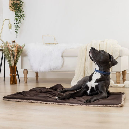 Dreamscene Sherpa Soft Pet Blanket, Brown - 75 x 110cm