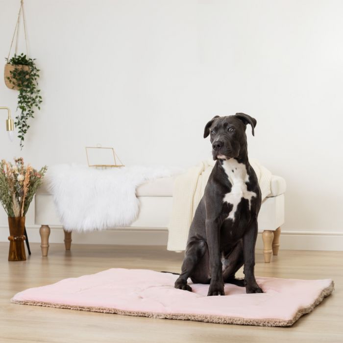 Brentfords Sherpa Soft Pet Blanket - 75 x 110cm