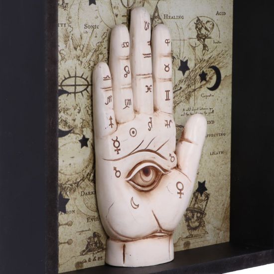 Palmistry Companion 20.2cm